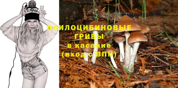 apvp Верея