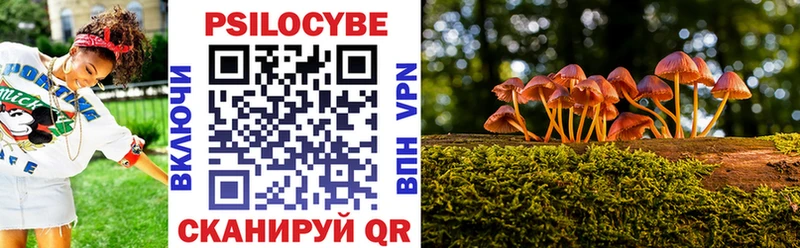 Галлюциногенные грибы Psilocybine cubensis kraken маркетплейс Донецк